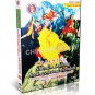 DW144-05 Shaolin Kungfu Shao Lin Da Hong Quan Routine I Actual Combat by Shi Deyang DVD