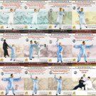 Analysis Of Taichi Yin Yang Structure Of The Internal Energy In Taijiquan 12DVDs Analysis Of Taichi Yin Yang Structure Of The Internal Energy In Taijiquan 12DVDs