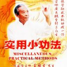 Wu Style TaiChi Practical Health Methods by Wang Peisheng Special Collectio 2VCD