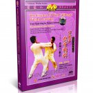 DW090-05 The Essence of Wan Laisheng's Wushu Learning Free Sparring in Nature School 2DVD DW090-05 The Essence of Wan Laisheng's Wushu Learning Free Sparring in Nature School 2DVD