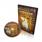 ( Out of Print ) Chen Style Tai chi Collection Series by Chen Xiaowang 27DVDs