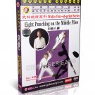 DW146-02 Wulin Out of Print Series - 8 Punching On The Middle Piles by Huang Ruimu DVD