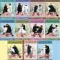 DW153-01-11 Old-styled Taichi Rushing Fist & Sudden Agile Fist Series - Yuan Zhanguo 11DVDs