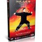 DW163-01-08 Chinese Kungfu Hong Style Tai Chi Taijiquan Series by Li Zhujun 10DVDs