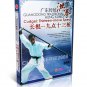 DW128-01-06 Chinese Tradition Kungfu Hong Boxing Hung Kung complete Series by Lin Xin 13DVDs
