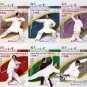DW180-01-06 Chinese Kungfu - Cheng style bagua 8 diagram Palm Serie by Ma Lincheng 9DVDs