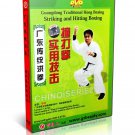 DW128-04 Chinese Kongfu Hong Boxing Striking and Hitting Practical Skill by Lin Xin DVD DW128-04 Chinese Kongfu Hong Boxing Striking and Hitting Practical Skill by Lin Xin DVD