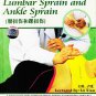 DT053-01-14 Lectures on Massage by Famous Experts of TCM Series Complete set -Lu Xian 14DVDs