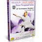DW158-01-10 Shao Lin Kunfu - Shaolin Damo Fist and Weaponed Series by Yan Zhenfa 10DVDs