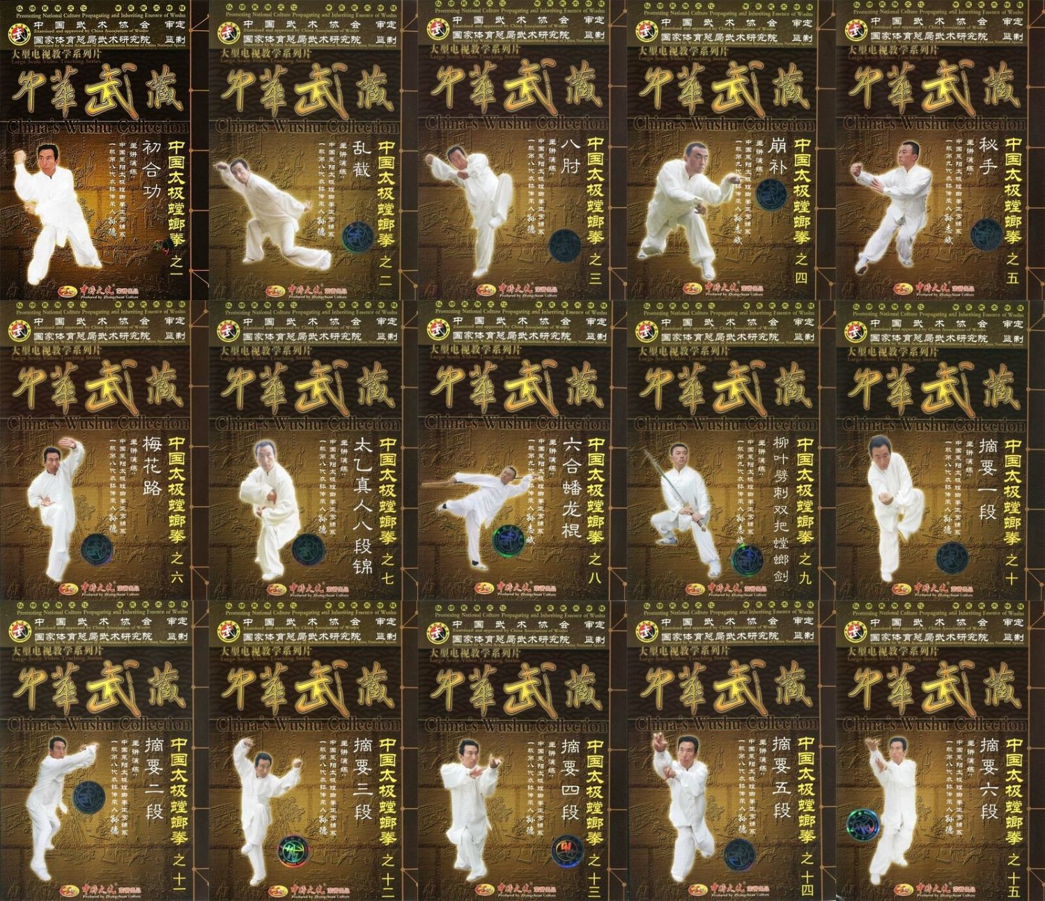 TAICHITANGLANG-01-15 Chinese Traditional Wushu Taiji Mantis Boxing Series by Sun De 23DVDs