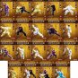DWQL300-316 Chen Style Tai Chi Taijiquan Taiji Series - Complete Set by Chen Zhenglei 40DVDs