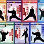 DW074-01-07 Chen Style Taijiquan Taichi Small Frame Series Complete Set - Chen Yongfu 18DVDs