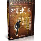 Songshan Shaolin Dahong Boxing Routine Four by Zhen Shumin 2DVDs - No.024 Songshan Shaolin Dahong Boxing Routine Four by Zhen Shumin 2DVDs - No.024