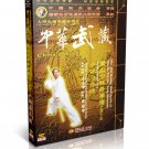 Songshan Shaolin Eye-brow Stick by Wang Zhanfeng 2DVDs - No.045