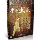 Songshan Shaolin Dragon style sword by Wu Nanfang DVD - No.106 Songshan Shaolin Dragon style sword by Wu Nanfang DVD - No.106