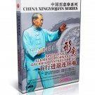 DW205-03 Xingyi 5 Elements Forward Backward Interlink Fist by Zhang Jianping DVD