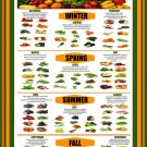 Ultimate Guide to Buying Fruits and Vegetables Chart 18x28 inches Poster Print