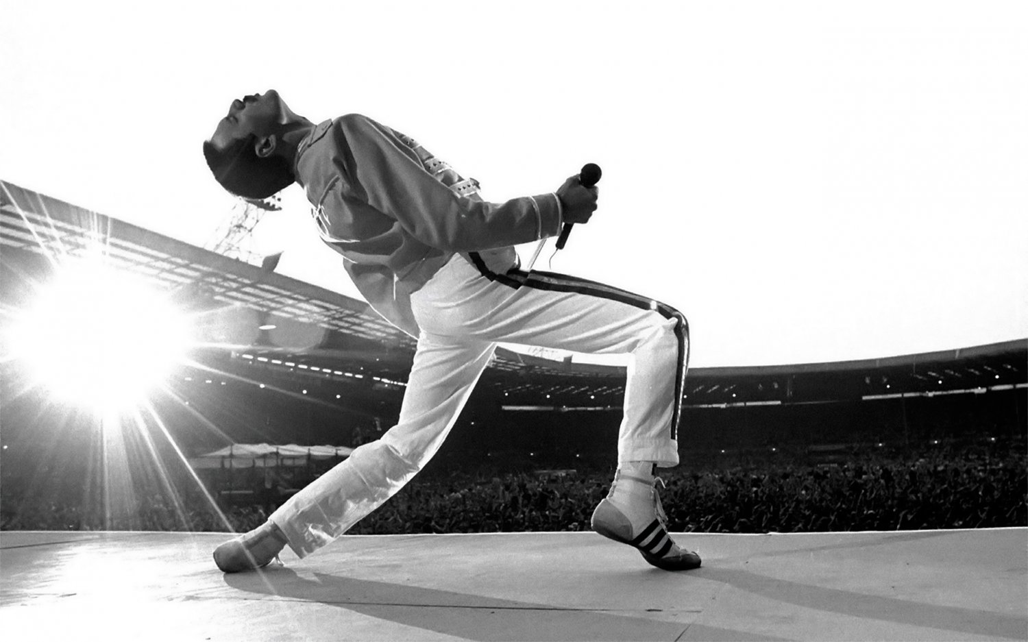 Freddie Mercury 18x28 inches Poster Print