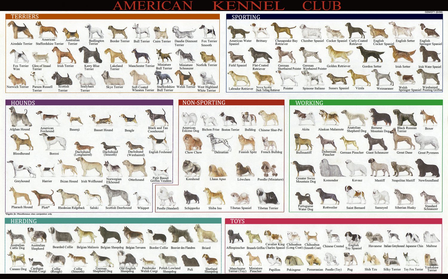 American Kennel Dog Breeds Club Chart 18x28 inches Canvas Print