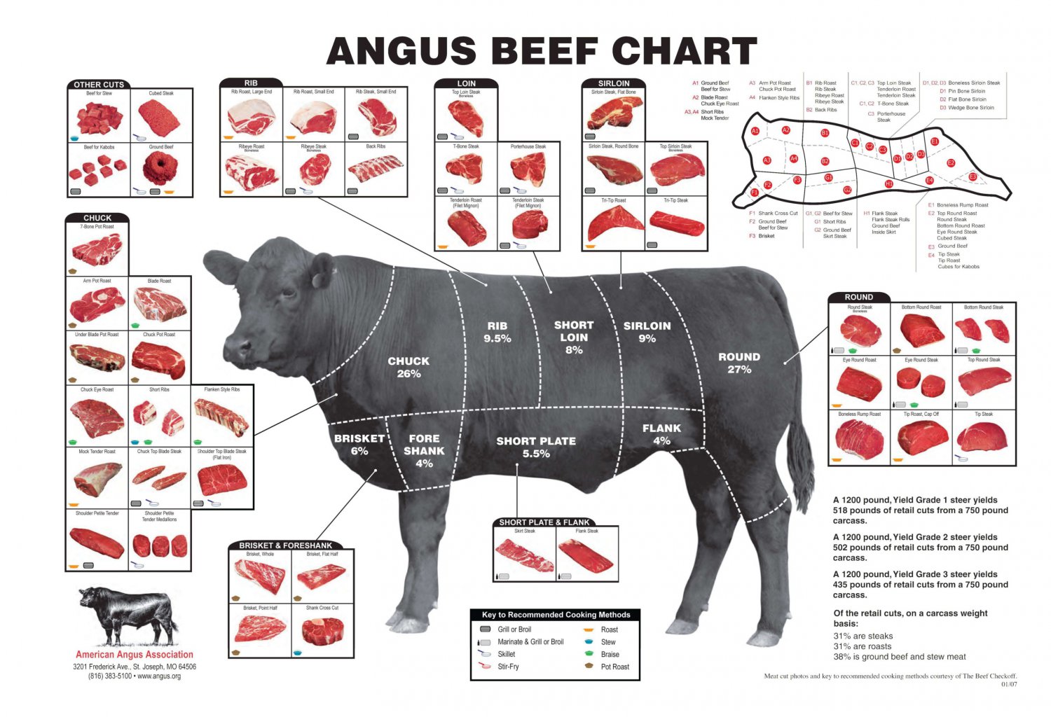 Angus Beef Chart  18x28 inches Poster Print