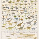 The Complete Evolutionary Dinosaur Tree Chart  18x28 inches Poster Print