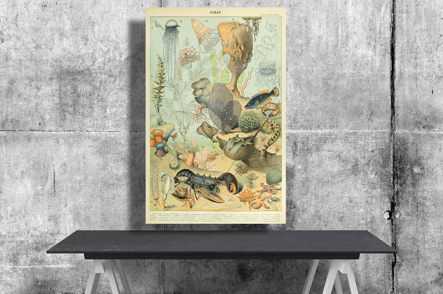 types-of-sea-and-ocean-creatures-adolphe-millot-18x28-inches-poster-print