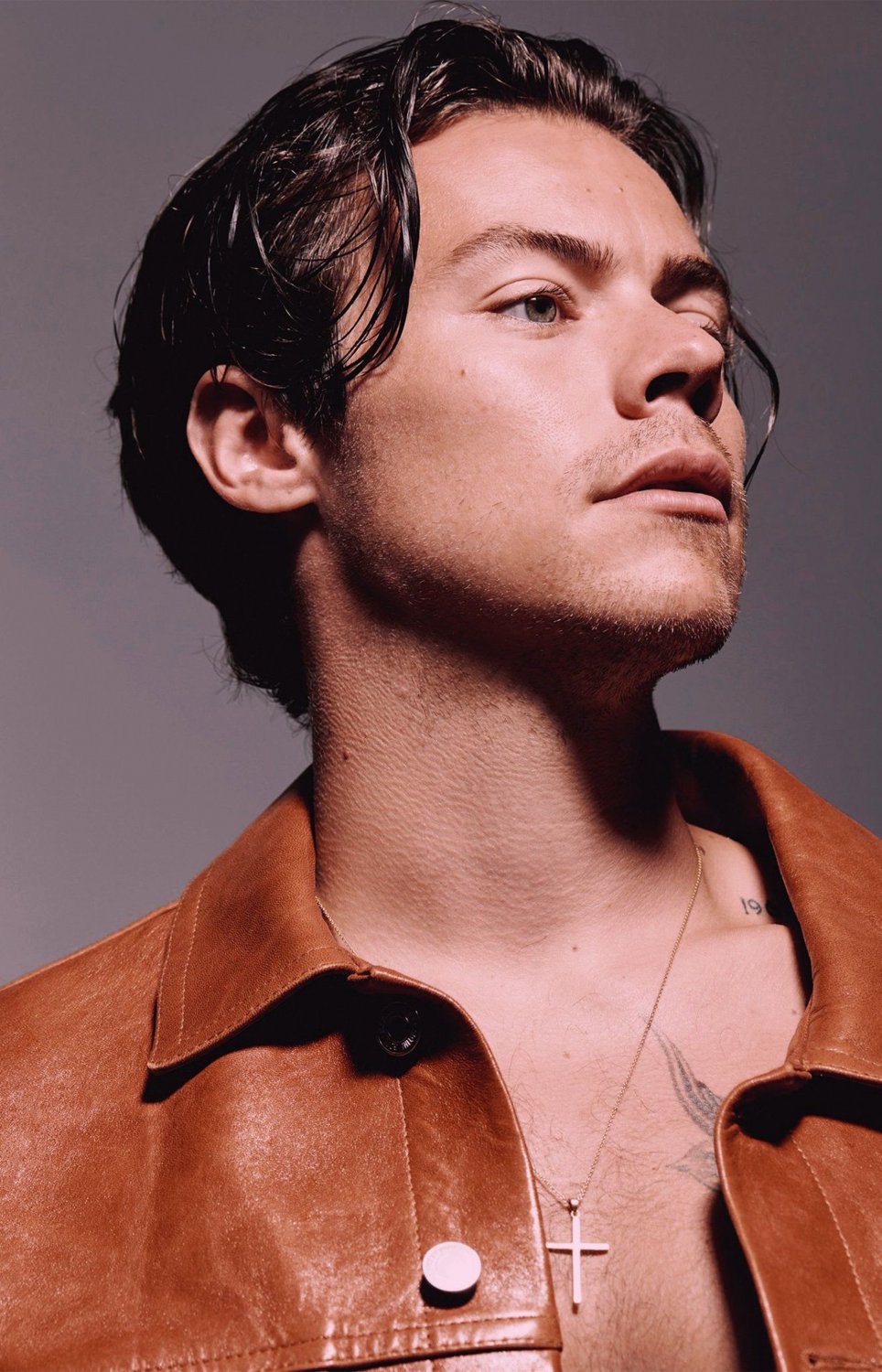 Harry Styles 24x35 inches Canvas Print