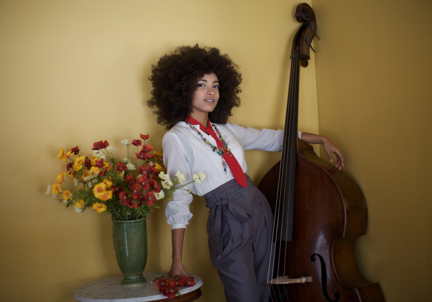 Esperanza Spalding 13x19 inches Poster Print