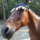 Candy Corn Nights Horse FLy Beanie Bonnet