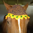 Harvest Halloween Pumpkin Patch Horse FLy Beanie Bonnet
