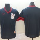 men's & youth Baseball Minnesota Twins Uniform Blank Jerseys Navy Cooperstown V Neck Shirt