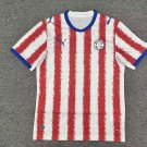 adult unisex Paraguay National Soccer Team Uniform Blank Jersey Home Stadium 2026 Red Activewear