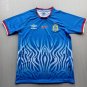 adult unisex DR Congo National Soccer Team Uniform Blank Jersey Home Stadium 2026 Blue Activewear