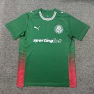 adult & kids Palmeiras Team Soccer Uniform Blank Jersey Home Stadium 2627 Activewear Green Shirt