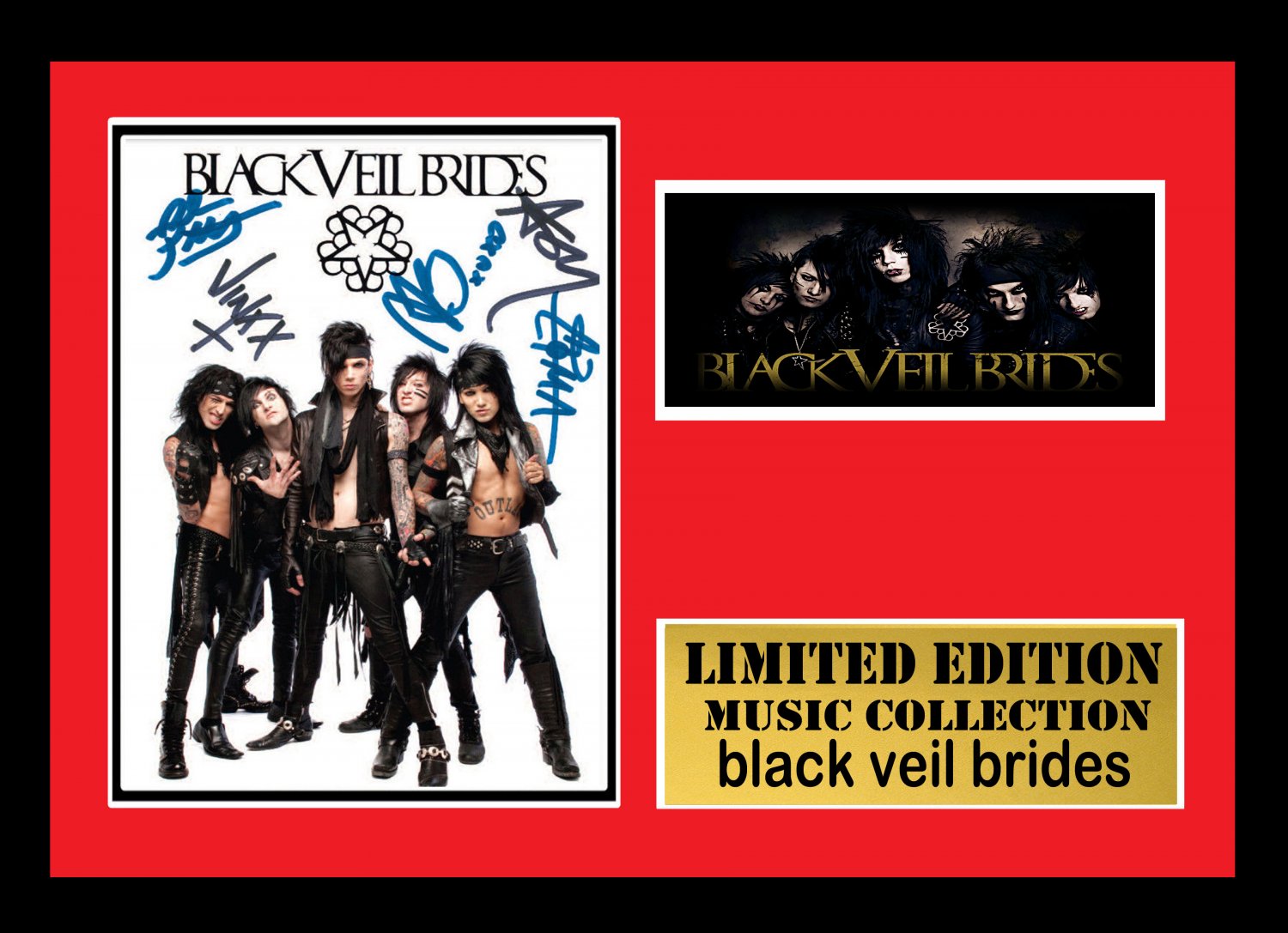 black veil brides    signed disc