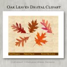 Oak Fall Leaves Clipart Digital Leaf PNG Realistic Fall Leaf Graphics Printables