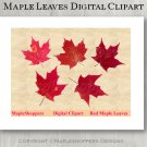 Maple Leaves Clipart Digital Leaf PNG Realistic Fall Leaf Graphics Printables