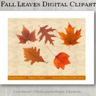 Assorted Brown Fall Leaves Clipart Digital Leaf PNG Realistic Fall Leaf Graphics Printables
