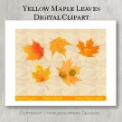 Yellow Gold Maple Leaf Clipart Digital Leaf PNG Realistic Maple Leaf Graphics Printables