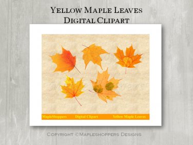 Yellow Gold Maple Leaf Clipart Digital Leaf PNG Realistic Maple Leaf Graphics Printables