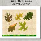 Green Oak Leaf Clipart Digital Leaf PNG Digital Images Realistic Maple Leaf Graphics Printables