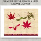Japanese Maple Leaves Clipart Digital Leaf PNG Realistic Fall Leaf Graphics Printables