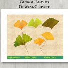 Ginkgo Leaf Clipart Digital Leaf PNG Digital Images Realistic Ginkgo Leaf Graphics Printables
