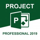 MIcrosoft project professional 2019