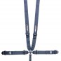 5 Point Harness Racer Series Camlock SFI 16.1 Pull Down Right Lap Fixed Left