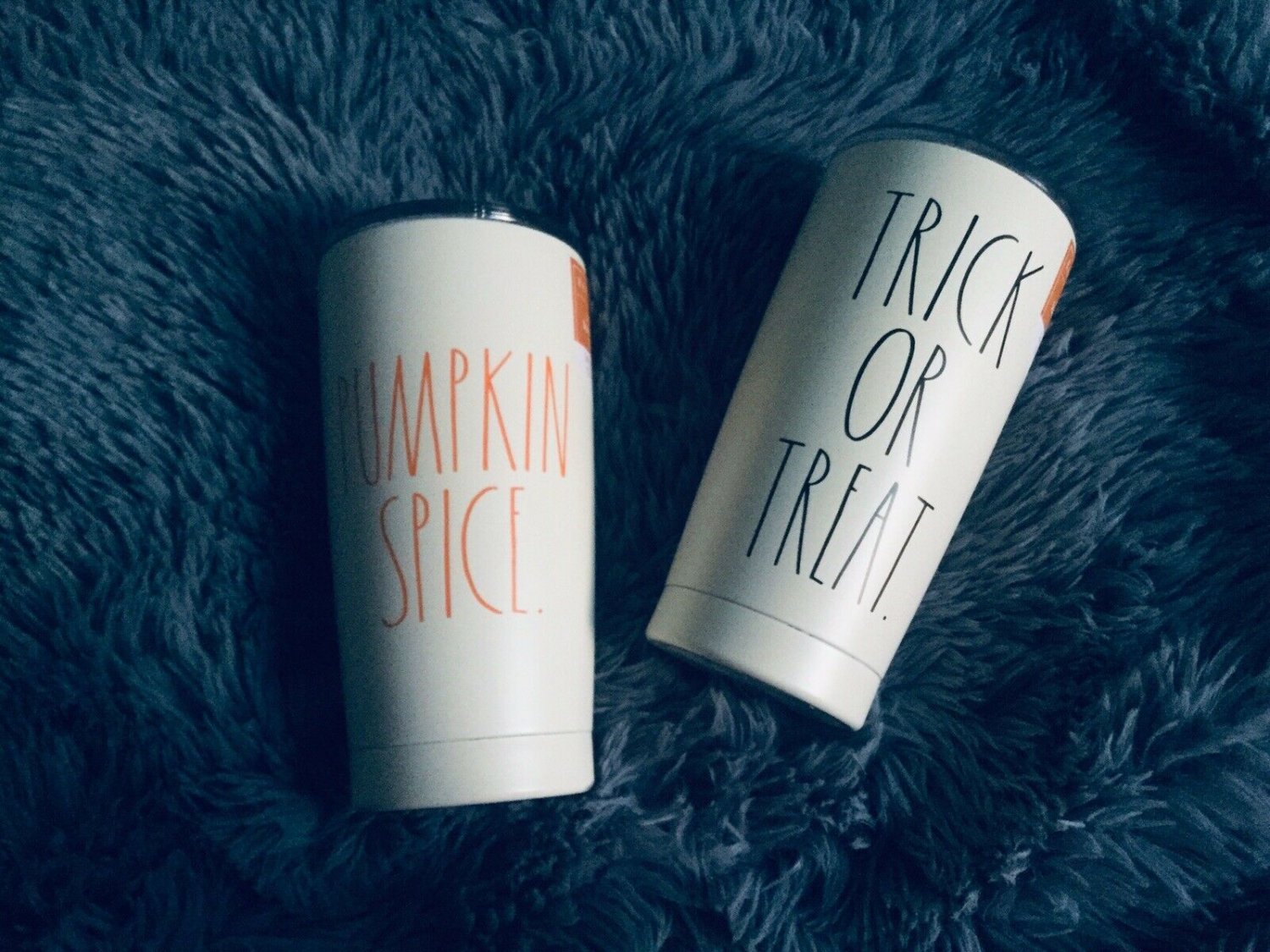 2 New Rae Dunn Pumpkin Spice And Trick Or Treat Tumblers