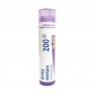 Boiron Arnica montana 200CK 80 Pellets Homeopathic Medicine for Pain Relief