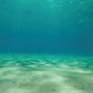 SPORN Aquarium Background, Static Cling,  Ocean Floor 36" x 18"