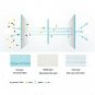 Qiansou Medical Disposable Earloop Face Masks - Dust Flu Germs Pollen Protect...