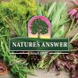 Nature's Answer Female Complex, 90-Count,800 mg